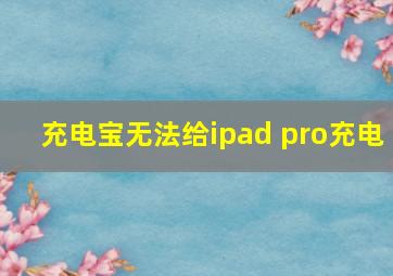 充电宝无法给ipad pro充电